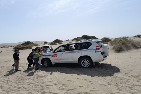 CA88(中国区)唯一官方网站