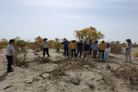 CA88(中国区)唯一官方网站